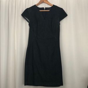 Fitted Denim Sheath Dress with V-Neck